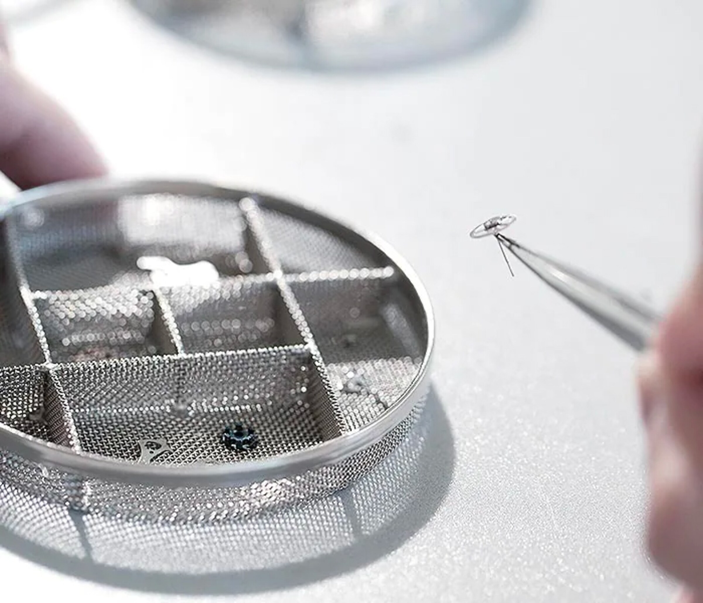 Preparing the components of the movement for cleaning